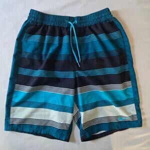 Unique discontinued Nike Perry Ellis Europe Stripe Swim Trunks Men M Blue White
